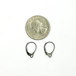 Load image into Gallery viewer, 925 Sterling Silver Black Rhodium Plated Lever Back Ear Wire
