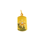 Load image into Gallery viewer, GDP270. 14K Solid Gold with Diamonds Rectangle Shape Charm with Star in the Center