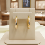 Load image into Gallery viewer, GER77. 14K Tri-Color Gold Diamond-Cut Hollow Hoop Earrings