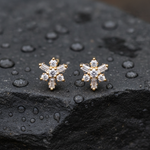 Load image into Gallery viewer, EFF53682. 14K Solid White Gold Diamond Flower Stud Earrings