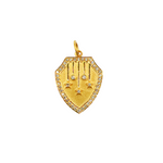 Load image into Gallery viewer, 14K Solid Gold Shield Charm with Diamonds and Stars in the center. GDP161