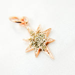 Load image into Gallery viewer, DC430. Diamond Sterling Silver Star Pendant