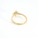 Load image into Gallery viewer, 14k Solid Yellow Gold Diamond Star Ring.