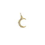 Load image into Gallery viewer, KG75. 14K Solid Gold Diamond Moon Charm