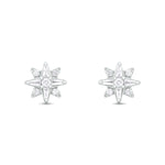 Load image into Gallery viewer, EFC54266. 14K Solid Gold Diamond Star Studs