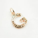 Load image into Gallery viewer, DC179. Diamond Sterling Silver Letter "G" Charm