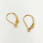 Load image into Gallery viewer, Buy Gold Filled Plain Leverback with Ring Ear Wire