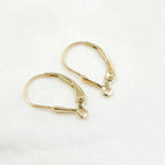 Load image into Gallery viewer, 4007080GF. Gold Filled Drop Leverback with Ring