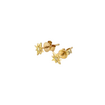 Load image into Gallery viewer, ER413159Y. 14K Solid Gold Star Diamond Studs Earrings