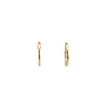 Load image into Gallery viewer, 14k Solid Gold Diamond Oval Hoops. EHC57035
