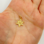 Load image into Gallery viewer, 14K Solid Gold Diamonds Star Charm. GDP206
