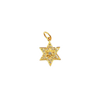 Load image into Gallery viewer, 14K Solid Gold Diamonds Star Charm. GDP206