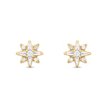Load image into Gallery viewer, EFC54266. 14K Solid Gold Diamond Star Studs