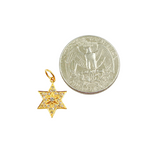 Load image into Gallery viewer, 14K Solid Gold Diamonds Star Charm. GDP206