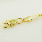 Load image into Gallery viewer, NFC71046MOP. 14k Solid Gold Paperclip Necklace with Mother of Pearl Charm