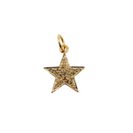Load image into Gallery viewer, 14K Gold with Diamonds Star Shape Charm. GDP40