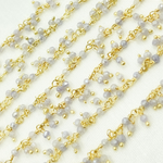 Load image into Gallery viewer, Coated Blue Moonstone Cluster Dangle Gold Plated Wire Chain. CMS96