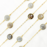 Load image into Gallery viewer, Grey Moonstone Gold Plated Connected Wire Chain. MS71