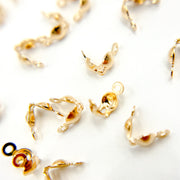 4001181. Gold Filled Clamshell Bead Tip with Two Rings