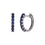 Load image into Gallery viewer, EHZ57608. 14K Solid Gold Gemstone Huggies