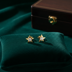 Load image into Gallery viewer, EFC52671Y. 14k Solid Gold Diamond Star Studs