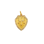 Load image into Gallery viewer, 14K Solid Gold Shield Charm with Diamonds and Stars in the center. GDP161
