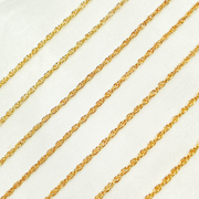 015RGF. 14k Gold Filled Rope Chain