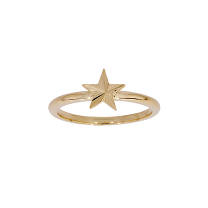 14K Gold Star Jewelry Set