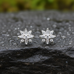 Load image into Gallery viewer, EFC54266. 14K Solid Gold Diamond Star Studs