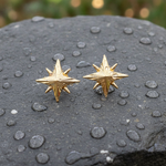 Load image into Gallery viewer, EFZ53568. 14K Solid Gold Star Stud Earrings