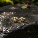 Load image into Gallery viewer, EFC52671Y. 14k Solid Gold Diamond Star Studs