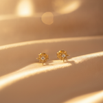 Load image into Gallery viewer, ER413159Y. 14K Solid Gold Star Diamond Studs Earrings