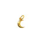 Load image into Gallery viewer, 14K Gold with Diamonds Moon Shape Charm.  GDP297
