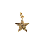 Load image into Gallery viewer, 14K Gold with Diamonds Star Shape Charm. GDP40
