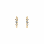 Load image into Gallery viewer, EHE57395. 14K Solid Yellow Gold Diamond Hoop Earrings