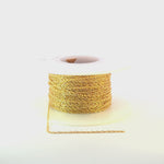 Load and play video in Gallery viewer, 09RGF. 14K Gold Filled Rope Chain
